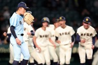 常総学院野球部2024 センバツ ノック使用球 セット 0c10.jpg?2