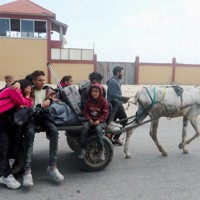 イスラエル軍がシファ病院で軍事作戦を実施したことを受け、避難を始めた住民たち＝パレスチナ自治区ガザ地区で2024年3月18日、ロイター