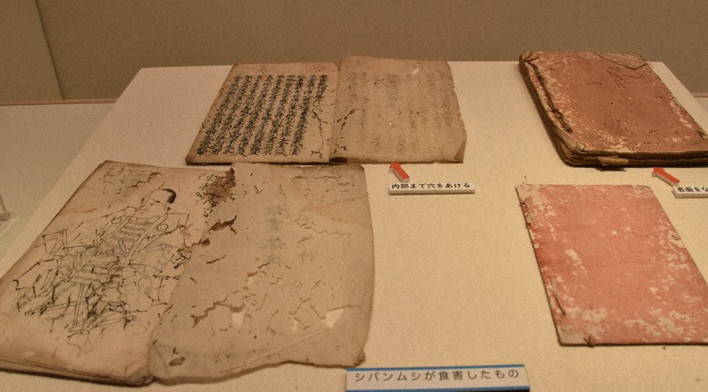 虫喰い跡が景色となった古い敷板 明治頃 古板 天板 展示台 飾り台 茶台