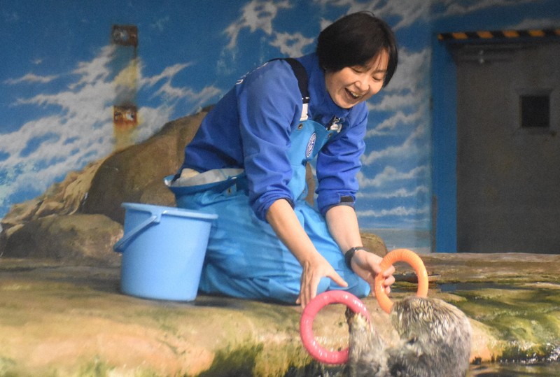 福岡ラッコ日記：初対面の印象は「しっかりした顔」 12年前にリロを