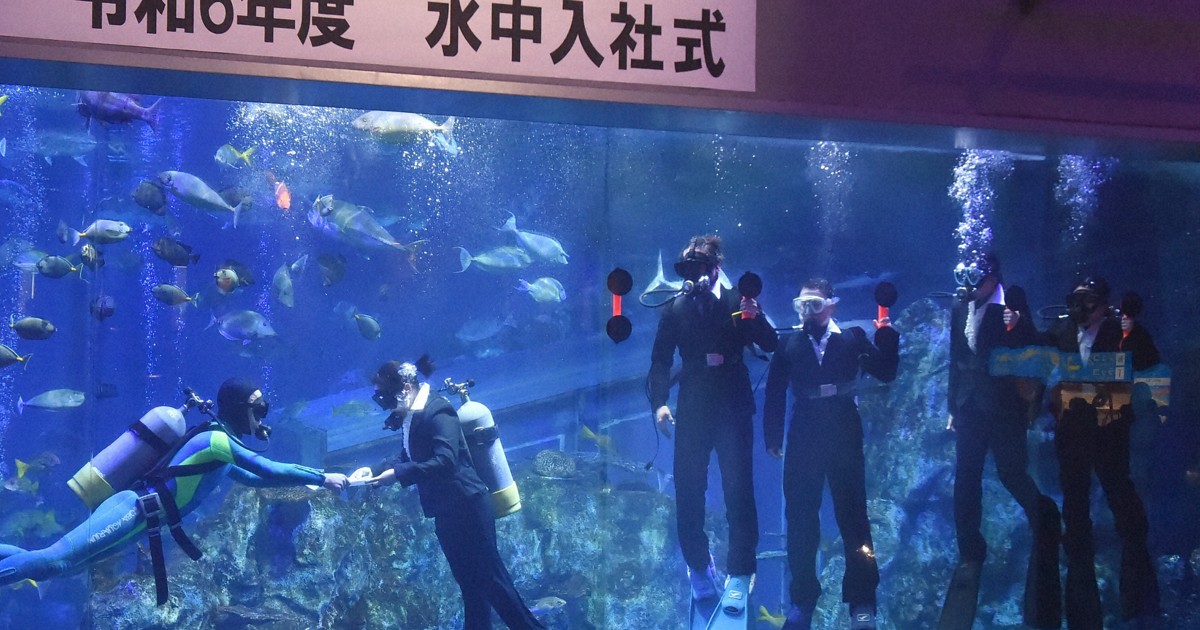 鳥羽水族館、恒例の水中入社式 大水槽の魚も来館者も注目の中 | 毎日新聞
