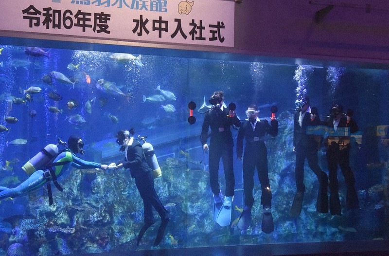魚もエール♡ 水中入社式 鳥羽水族館 ／三重 | 毎日新聞