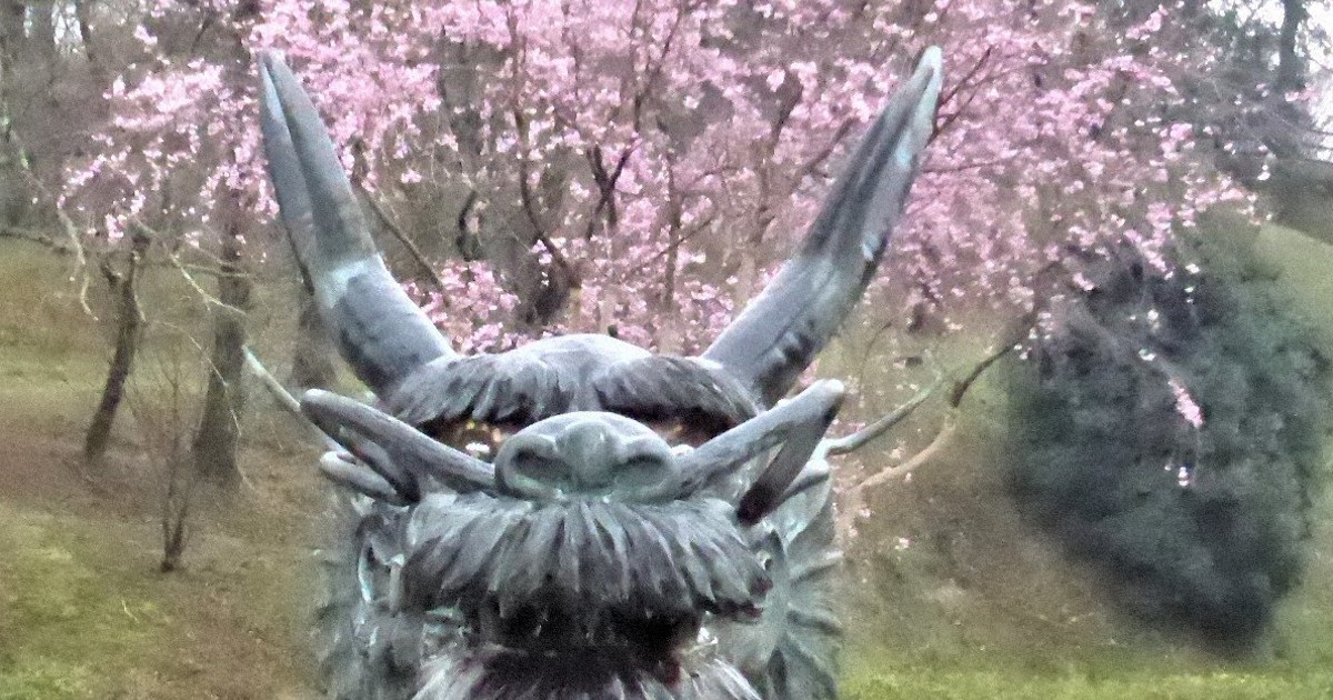 ドラゴン桜 0c10.jpg?1