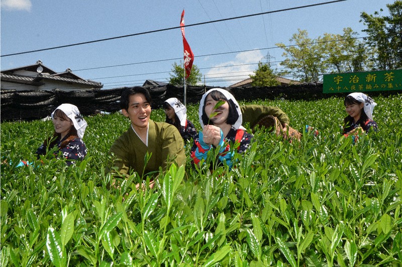 2023年の「宇治新茶・八十八夜茶摘みの集い」のセレモニーで、茶摘みを実演する「宇治茶宣伝隊」＝宇治市宇治折居で2023年5月2日、鈴木健太郎撮影