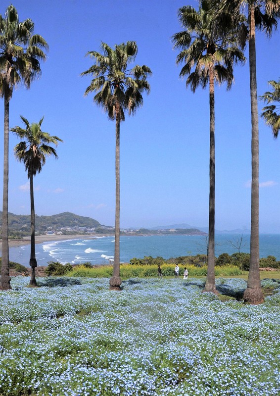油絵海（金ヶ浜）