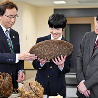 玉川大学の昆虫科学実験室を見学される秋篠宮さまと悠仁さま＝東京都町田市で2024年4月6日午前11時25分、前田梨里子撮影