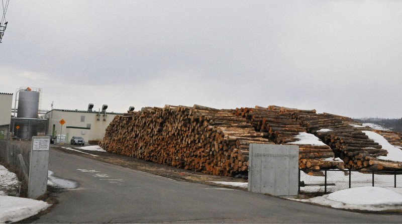 バイオマス発電用立木売ります ウッドショックに競合激化で操業停止 木質バイオマス発電の現状 | 毎日新聞