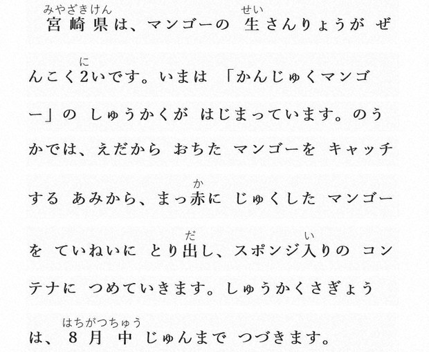 Easy Japanese news in translation Mangoes are ripe for harvest in Miyazaki Prefecture The