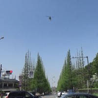 東京・六本木のヘリポートに向かうため、神宮外苑のイチョウ並木に沿うように飛ぶ米空軍ヘリ「UH1」＝2023年4月20日午後0時53分ごろ、港区北青山の神宮外苑付近で取材班撮影