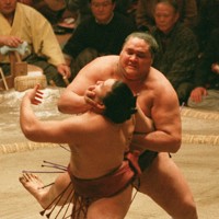 1993 or 1994頃　カネボウ・ゴールドカード　大相撲　横綱　曙太郎 1993 or 1994頃カネボウ・ゴールドカード大相撲横綱曙太郎
