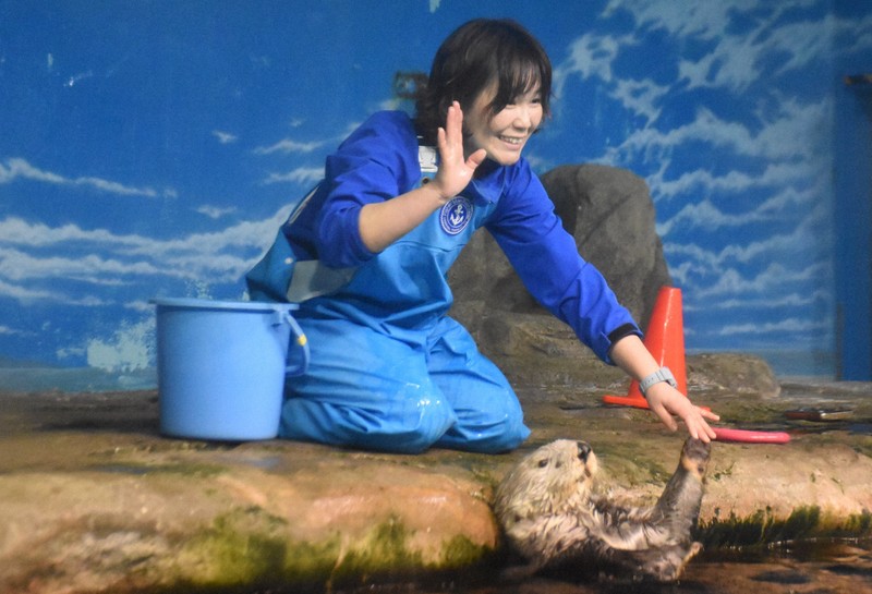 福岡マリーンワールド限定★ラッコ、リロの写真集★ ⇐リロのトリコになる🦦 ラッコの「リロ」ファーストフォト