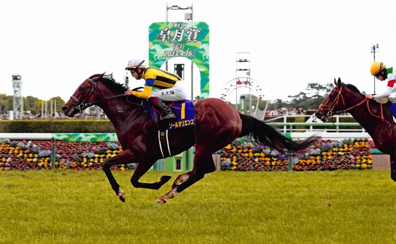 新作ウエア ウマ女十番勝負：（5）皐月賞 シンエンペラー 輝くVライン その他