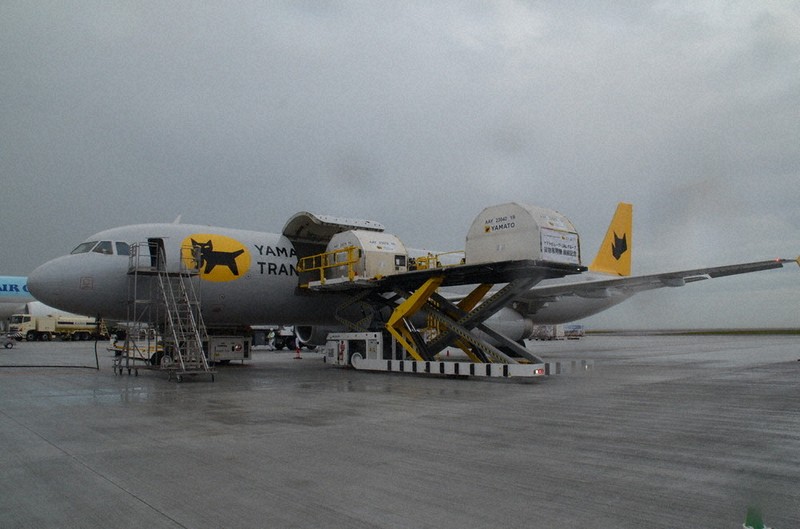 ヤマトHDが就航 北九州空港に、3社目の定期貨物便 24年問題に対応