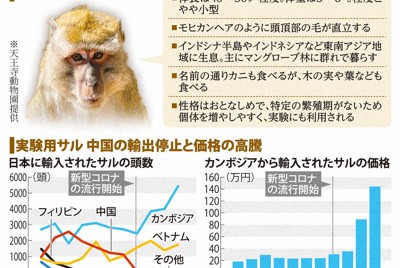 カニクイザルってどんなサル?