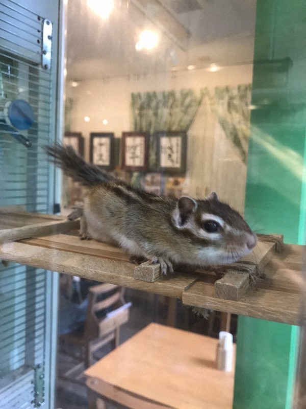 24色のペン：シマリスカフェが伝える「覚悟」＝町野幸（東京経済部