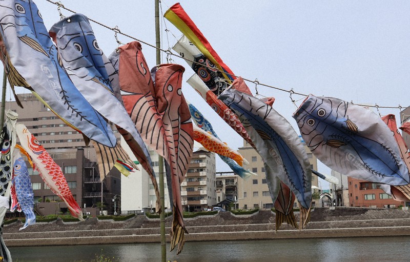 春風に泳ぐこいのぼり 「アジの干物」も悠々と 静岡・沼津 | 毎日新聞