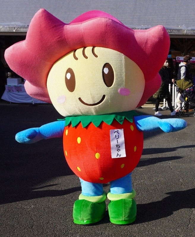 ベリーちゃん」テーマソング、タイトルつけて♪ 栃木・鹿沼が