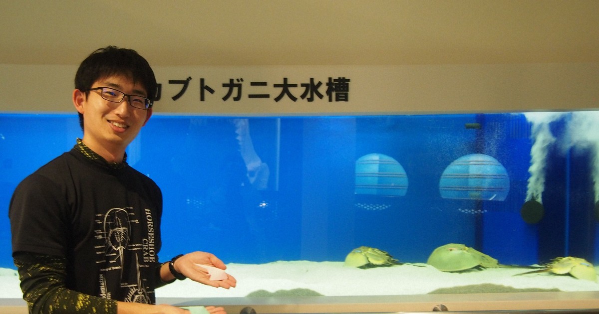 生きた化石」カブトガニをCTスキャン SNSで2.5万「いいね」 | 毎日新聞