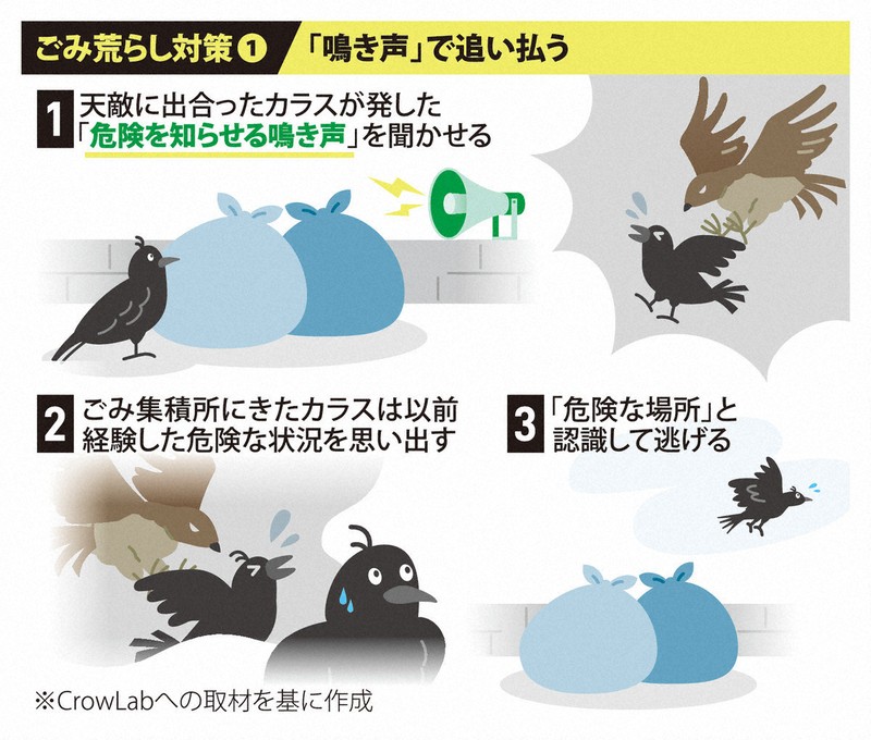 カラス撃退 忌避 カラス撃退‼️カラスなぜ逃げる標準タイプ 3個 カラス撃退 忌避 カラス撃退‼️カラスなぜ逃げる標準タイプ 3個