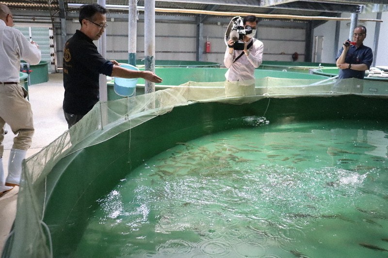 養殖　
イソメ　ゴカイ　カニ　コウジ　タイムシ　蓄養器 高島に水産研究所 世界と戦えるブリに 長崎大 「完全養殖」システム