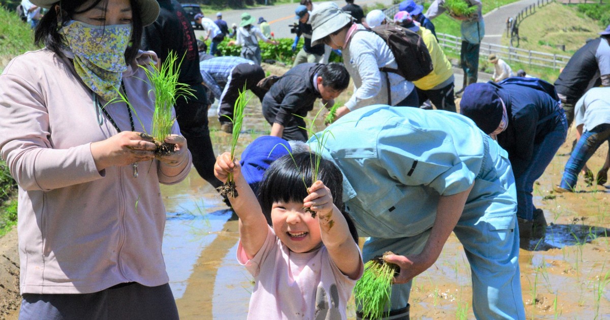 自分たちの宝物」 世界農業遺産の棚田で田植え始まる 能登で被災 [写真