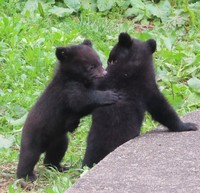 (Mainichi/Akira Kudo)