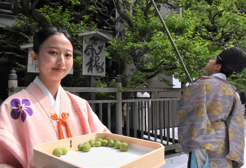 太宰府天満宮で「飛梅ちぎり」 種は奉納→初穂料10万円で授与 | 毎日新聞