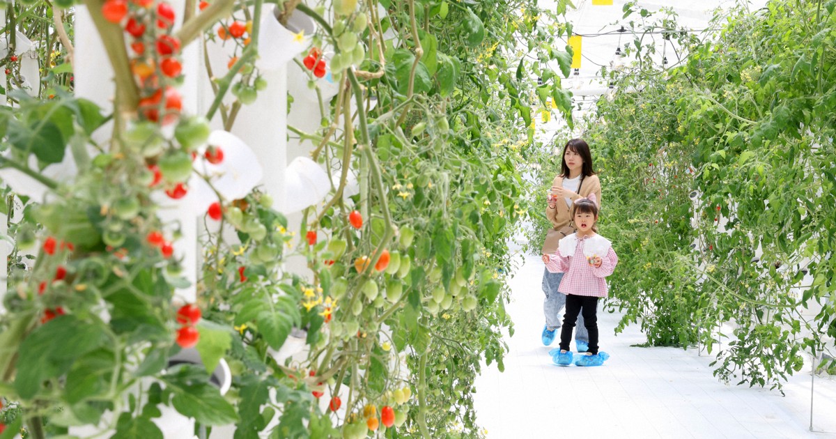 eye：次世代につなぐ循環型水耕栽培 ビワコ・アクアポニックス