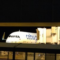 北九州空港にダイバートしたセブ・パシフィック航空の機体＝北九州市小倉南区で2024年5月19日午後10時15分、山下智恵撮影