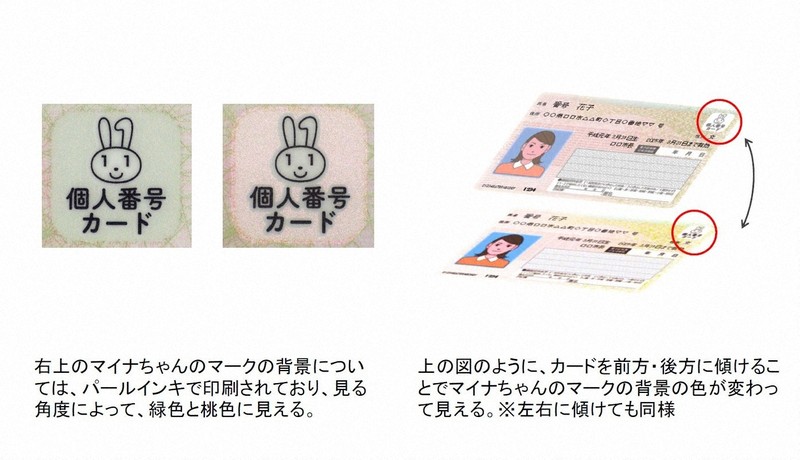 mai-shimane様確認用