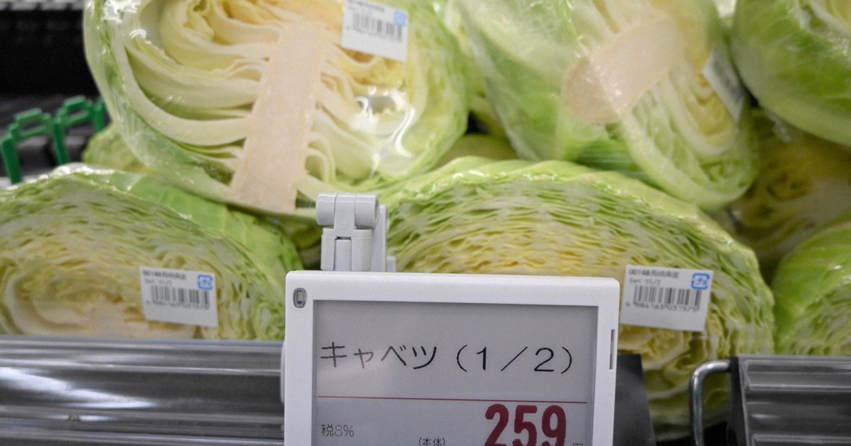 キャベツの価格高騰、例年の倍に… 家計や飲食店の経営に影 [写真特集1