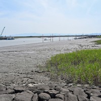 ムツゴロウが多く生息する六角川の河口域に広がる干潟＝佐賀県小城市で2024年5月21日、野田武撮影