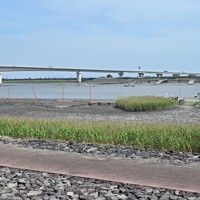 ムツゴロウが多く生息する六角川の河口域＝佐賀県小城市で2024年5月21日、野田武撮影