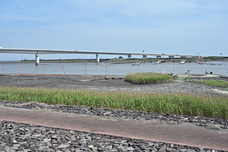 ムツゴロウが多く生息する六角川の河口域＝佐賀県小城市で2024年5月21日、野田武撮影