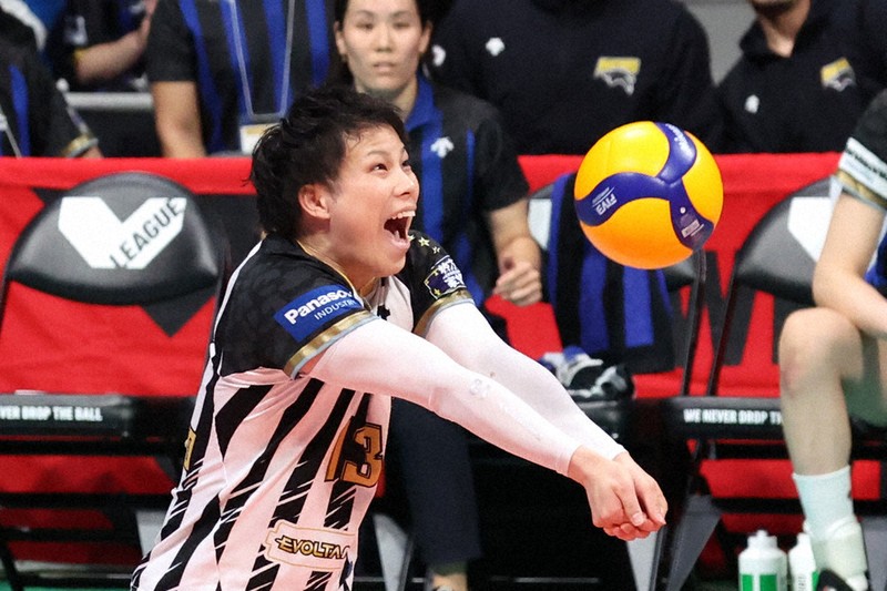 限定】現全日本リベロ 山本智大選手 頂き物Tシャツ バレー