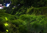 (Mainichi/Takeshi Noda)