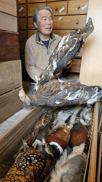 鳥博士の貴重な「宝物」 岡谷・林さん、国立科学博に標本など3000点