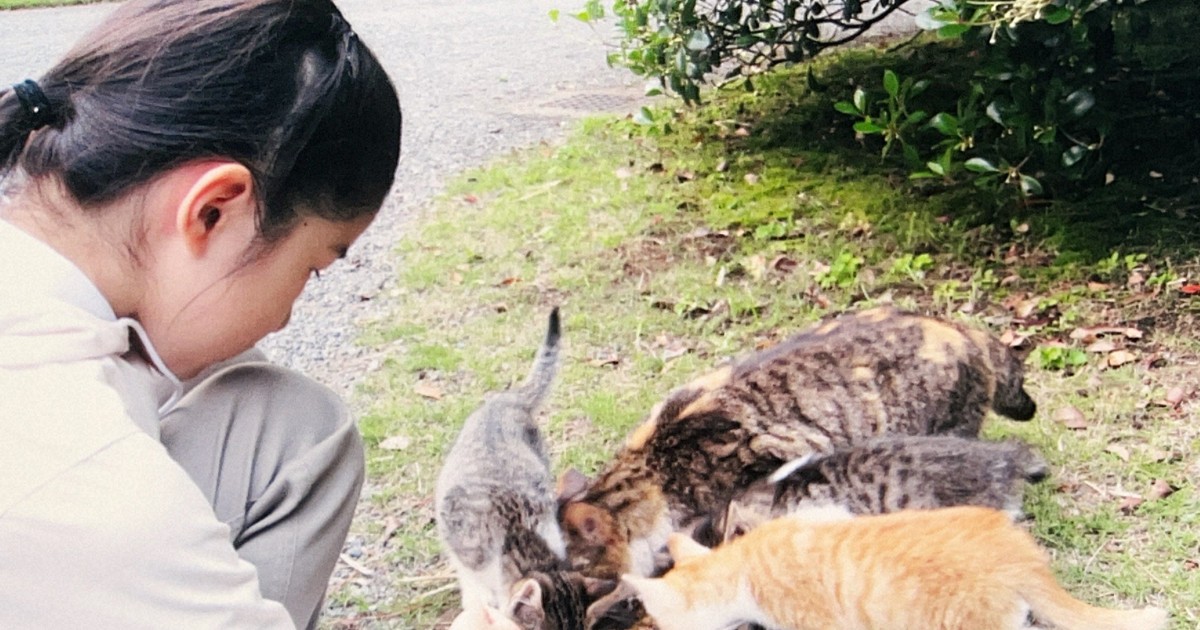 天皇ご一家の飼い猫の写真を公開 園遊会の「猫談議」話題に | 毎日新聞