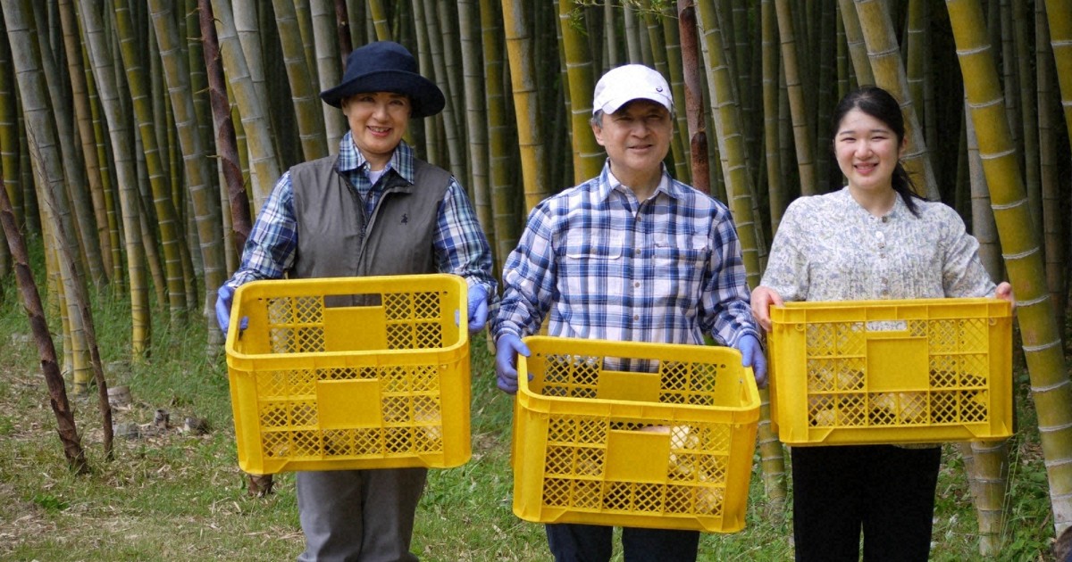 タケ王子様確認用 tk-711543_1.jpg