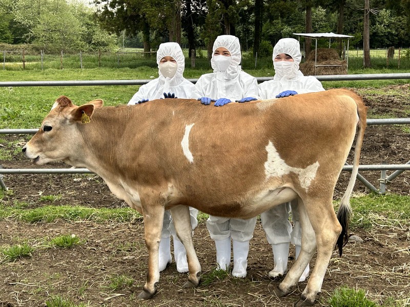 天皇ご一家、タケノコ掘りにサイクリング ご静養中の写真公開 [写真