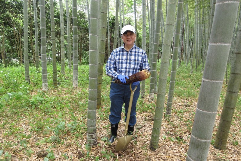 天皇ご一家、タケノコ掘りにサイクリング ご静養中の写真公開 [写真