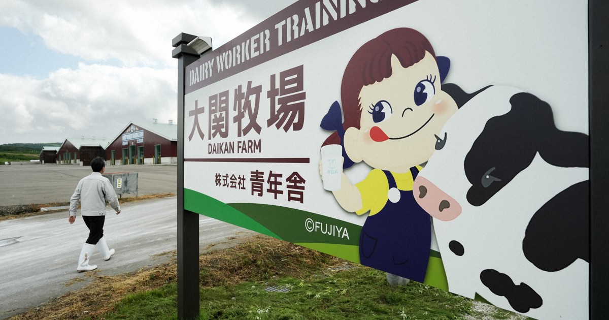 愛媛県産　新鮮ヤマモモ　２キロ　ぺこちゃん ペコちゃんの出身地は？ 北海道の牧場経営に不二家参画 - 日本