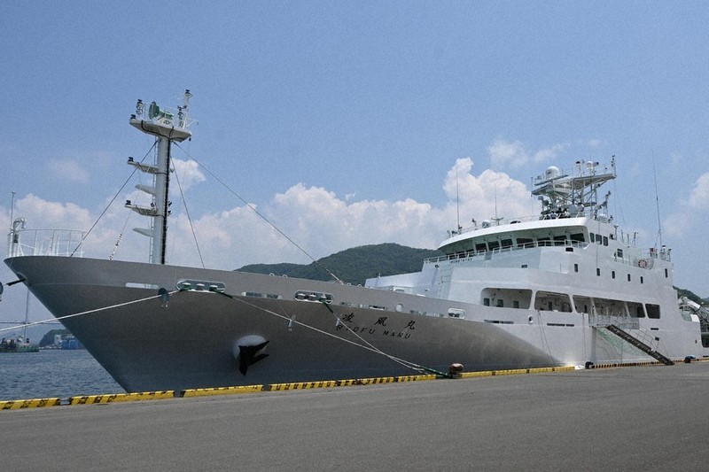 象と風船 Amazon | TREEONE 紙風船 無地 (無地6号10枚) | 風船・バルーン