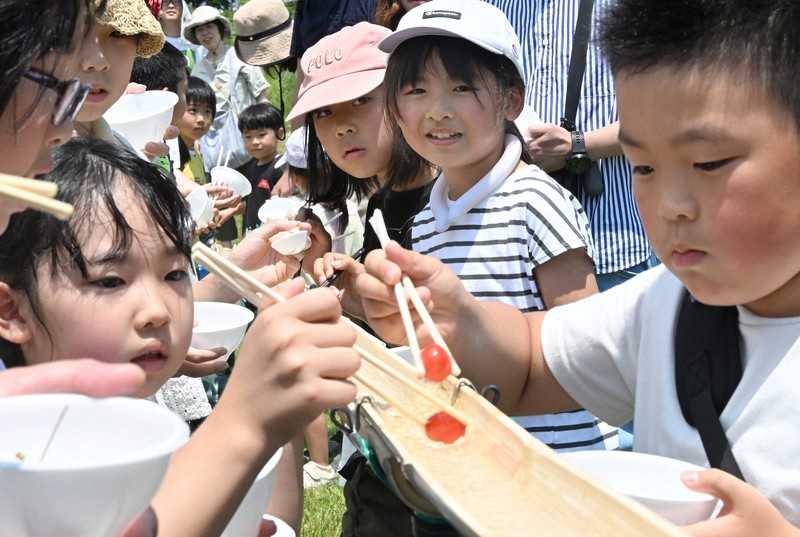さくらんぼ流し、種吹き飛ばし…山形でサクランボづくしイベント [写真 