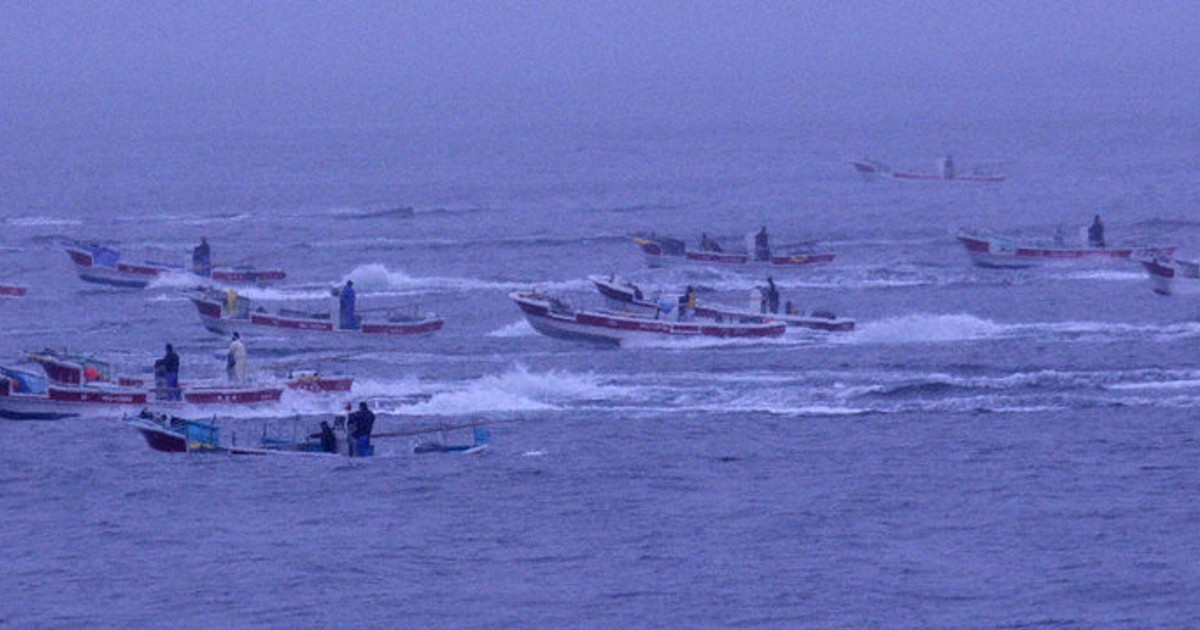 採取量は「最悪」 貝殻島のコンブ漁 生育不良で半月遅れ出漁 ／北海道
