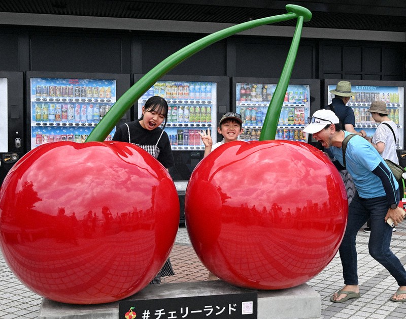 さくらんぼ14 000000002273_2_e2qgofo.jpg