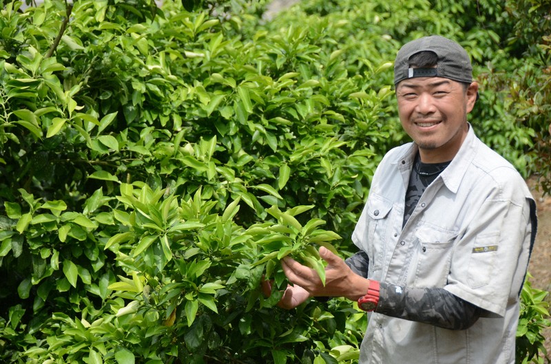 オレンジジュース危機：在庫不足、深刻な干ばつ、病気の蔓延がブラジルのオレンジの将来を脅かしている