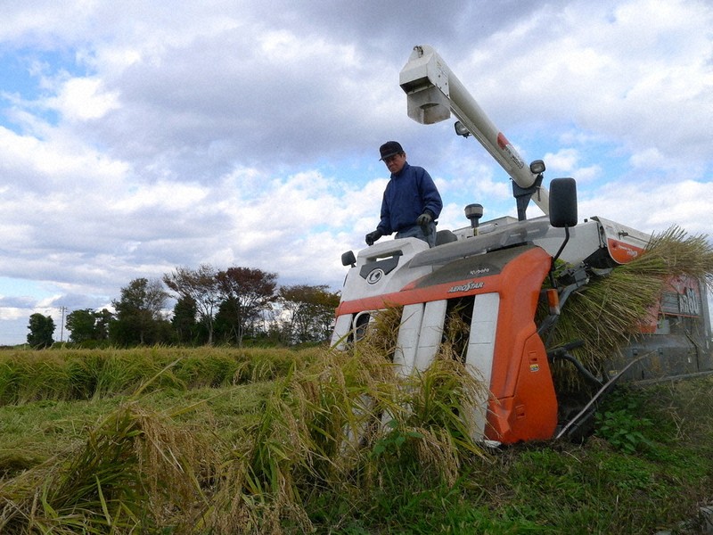 超中学受験：目指せ！！地理マスター 都道府県への道 宮城県 | 毎日新聞