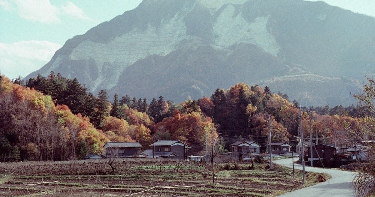 希少　気象　天然の雹　ひょう　千葉・茨城産　落ちたてホヤホヤ厳選採集 希少 気象 天然の雹 ひょう 千葉・茨城産 落ちたてホヤホヤ厳選