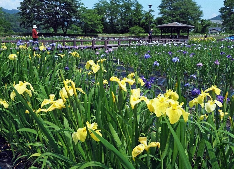 新型コロナくらし情報：新型コロナくらし情報 ／東京 | 毎日新聞